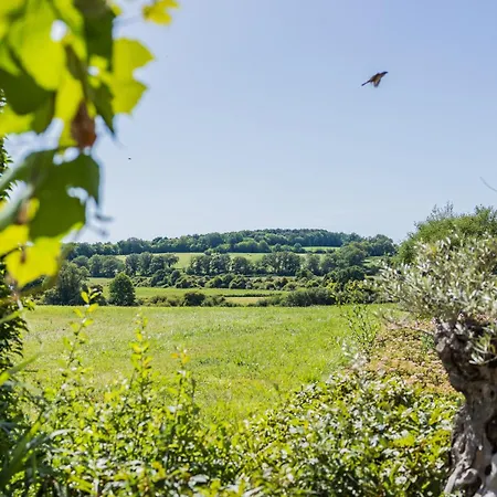 Domaine Bonneblond Saint-Desire